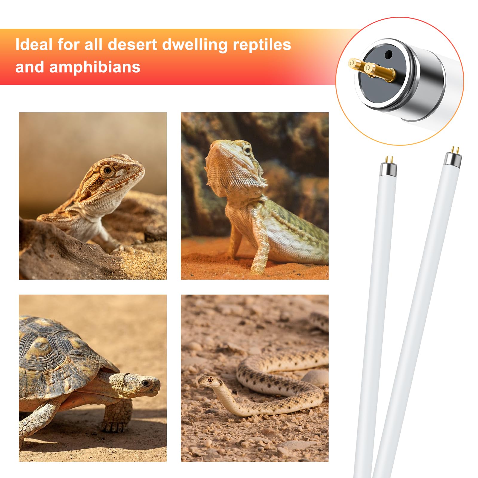 Lucky Herp after-sales service offers prompt support within 24 hours.