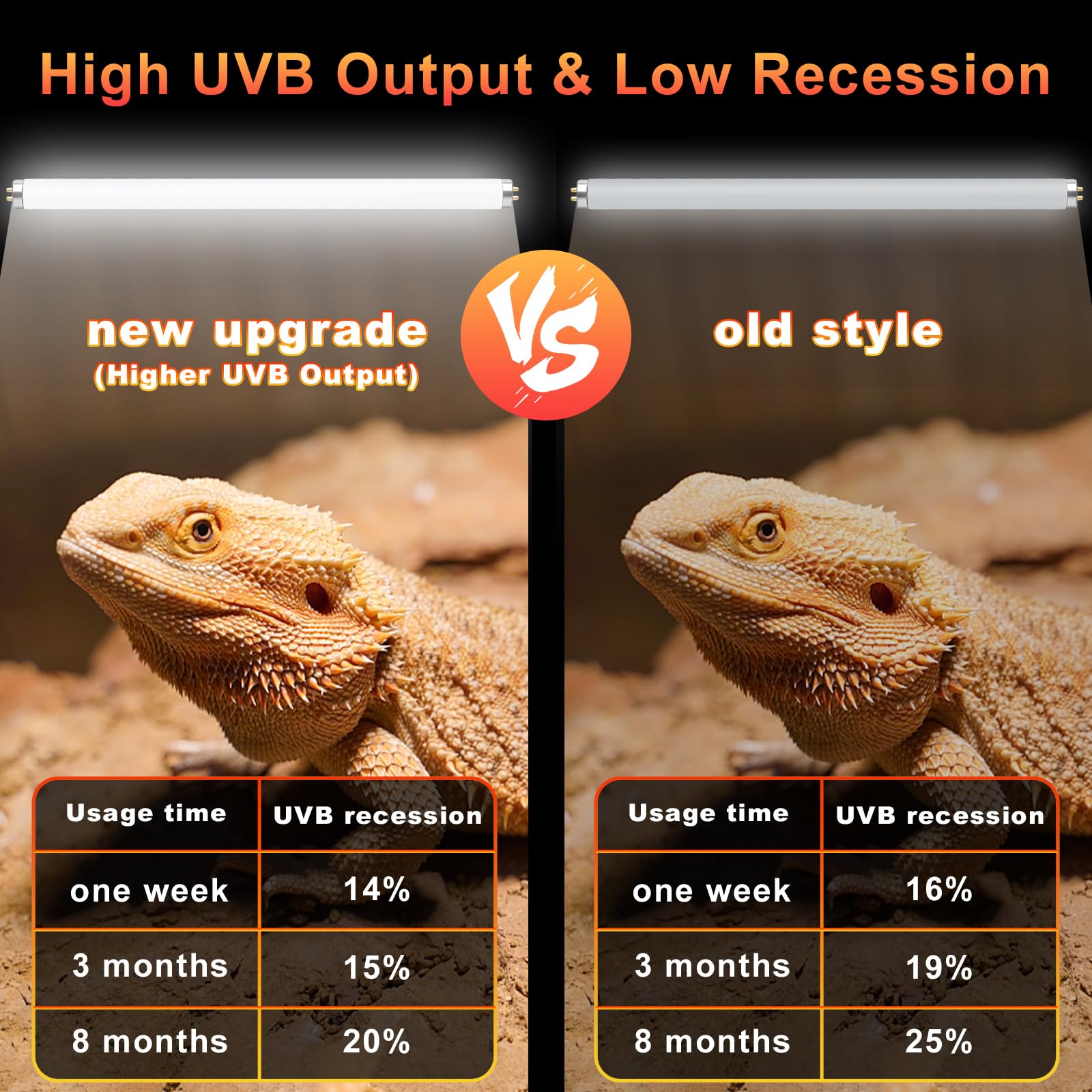 Lucky Herp T5 UVB lamp supports natural diurnal rhythms and exploration.