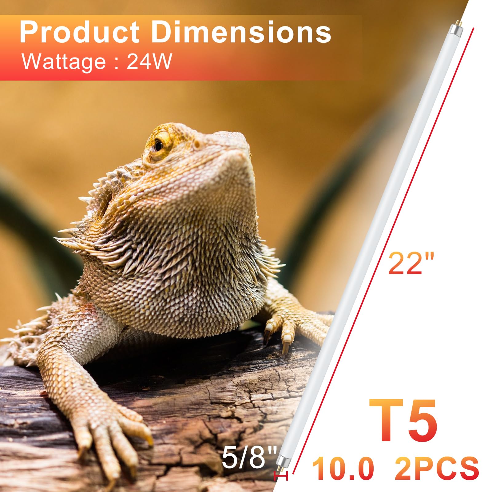 Lucky Herp T5 UVB two-pack provides even lighting across larger habitats.