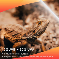 Lucky Herp T5 UVB bulb upgraded brightness for consistent exposure.
