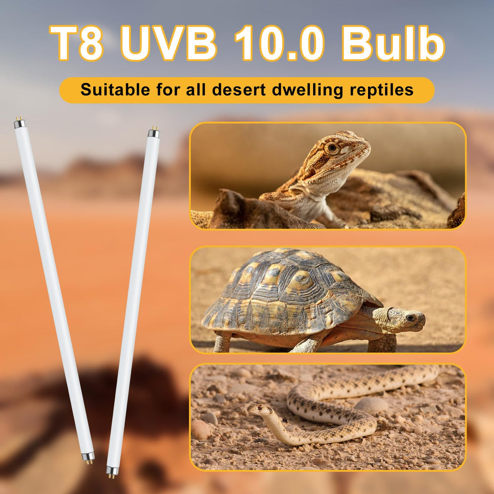 Lucky Herp T8 15W UVB lamp in desert reptile setup showing even illumination.