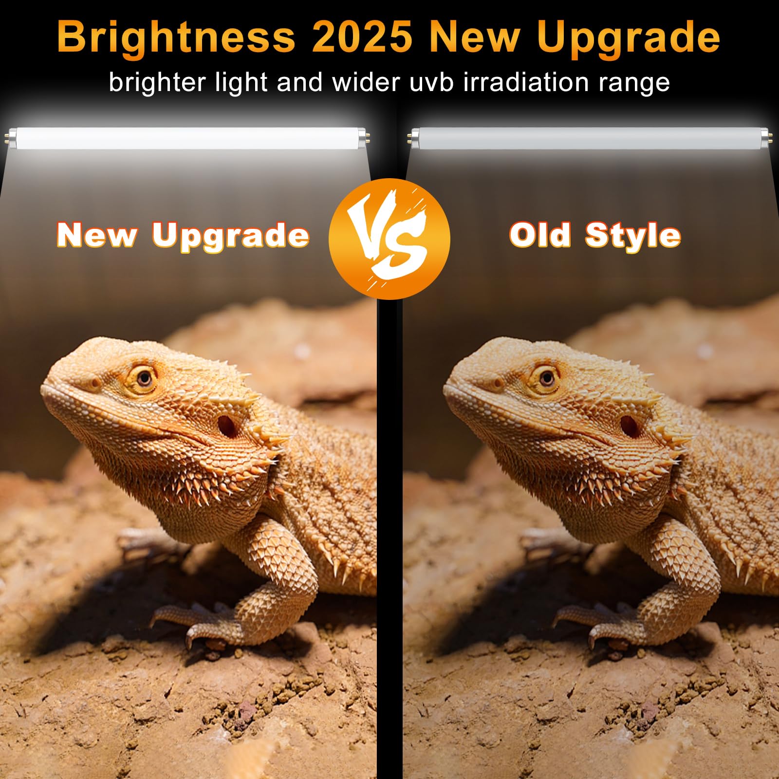 Lucky Herp T8 15W UVB lamp dual-pack demonstrates broader coverage for larger enclosures.