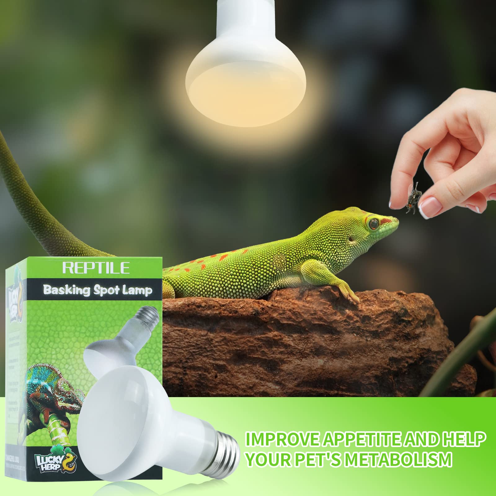 LUCKY HERP 2nd-gen reptile bulb with easy E26 base for quick setup.