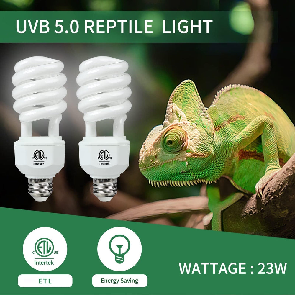 LUCKY HERP tropical reptile setup in a terrarium with lamp