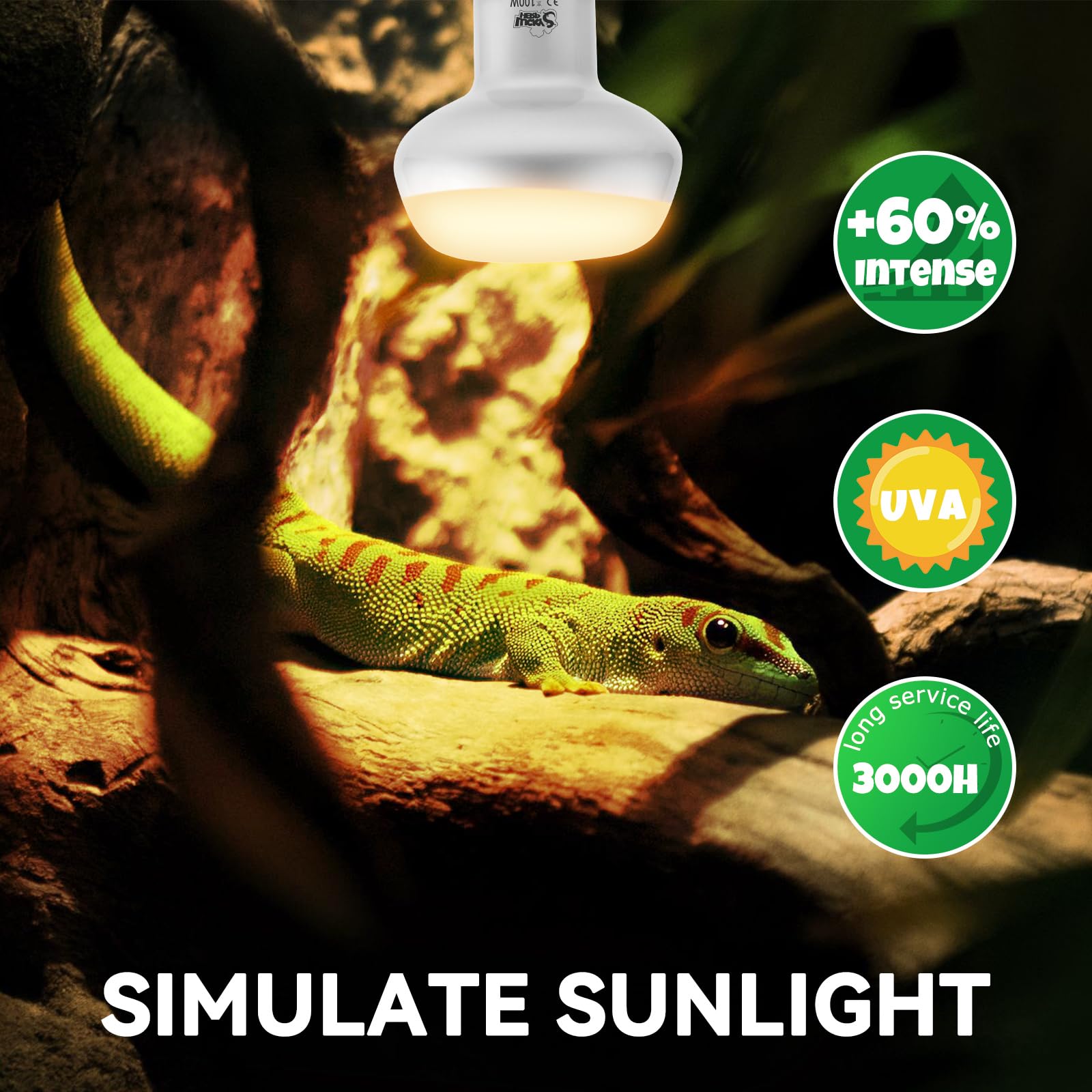 LUCKY HERP UVA daylight lamp demonstrates natural sunlight simulation in terrarium.