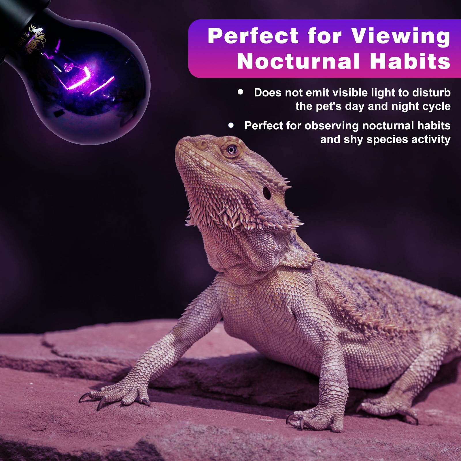 LUCKY HERP UVA light emits a soft glow to support nocturnal activity