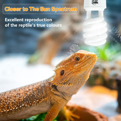 LUCKY HERP uva-uvb-spectrum-sunlight shows a natural spectrum supporting reptile activity.