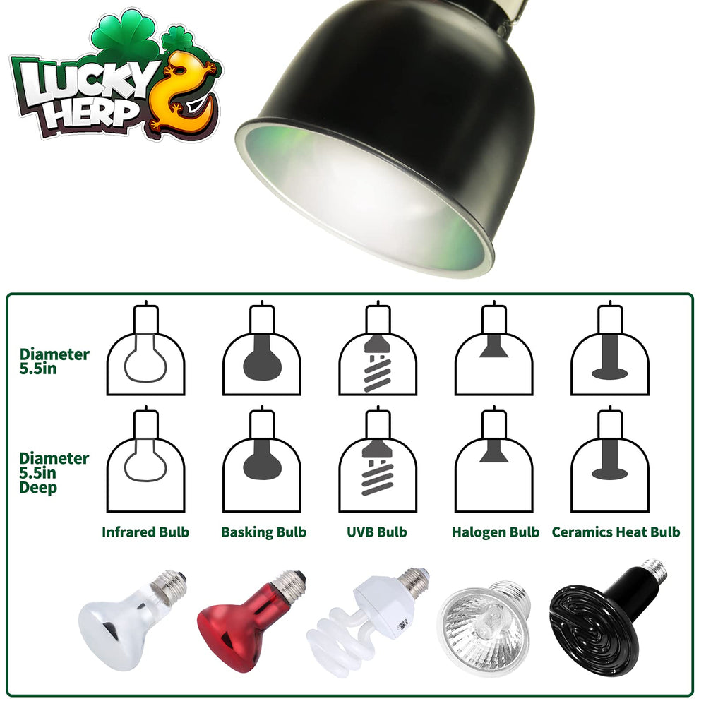 LUCKY HERP UVB bulb and basking setup improves light distribution for healthy basking