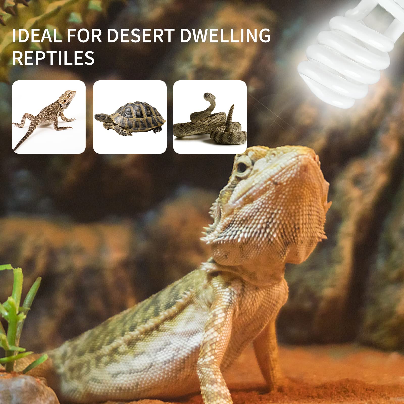 Lucky Herp UVB bulb installed in lamp socket for easy use