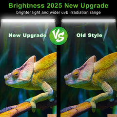 Lucky Herp wide-irradiation T8 UVB 15W lamp provides even light for glass terrariums