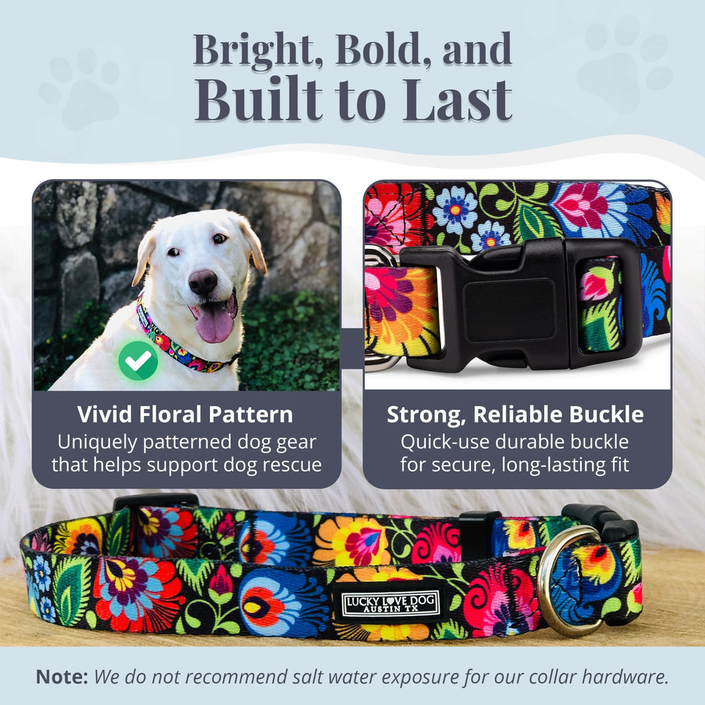 Lucky Love Dog durable collar close-up highlighting sturdy material for active dogs.