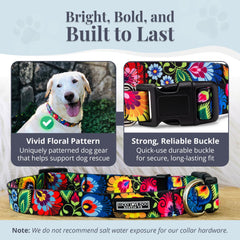 Lucky Love Dog durable collar close-up highlighting sturdy material for active dogs.