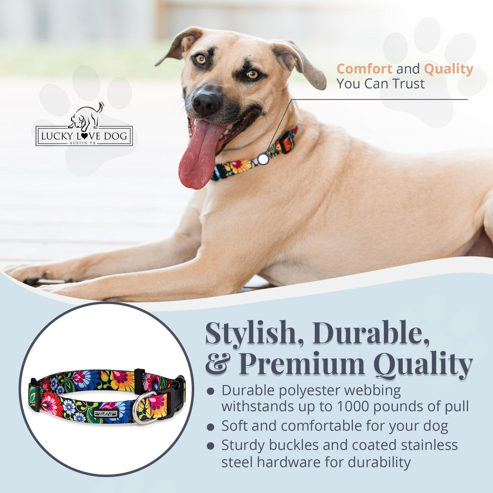 Lucky Love Dog Blackbird medium collar on a dog demonstrating secure neck fit.