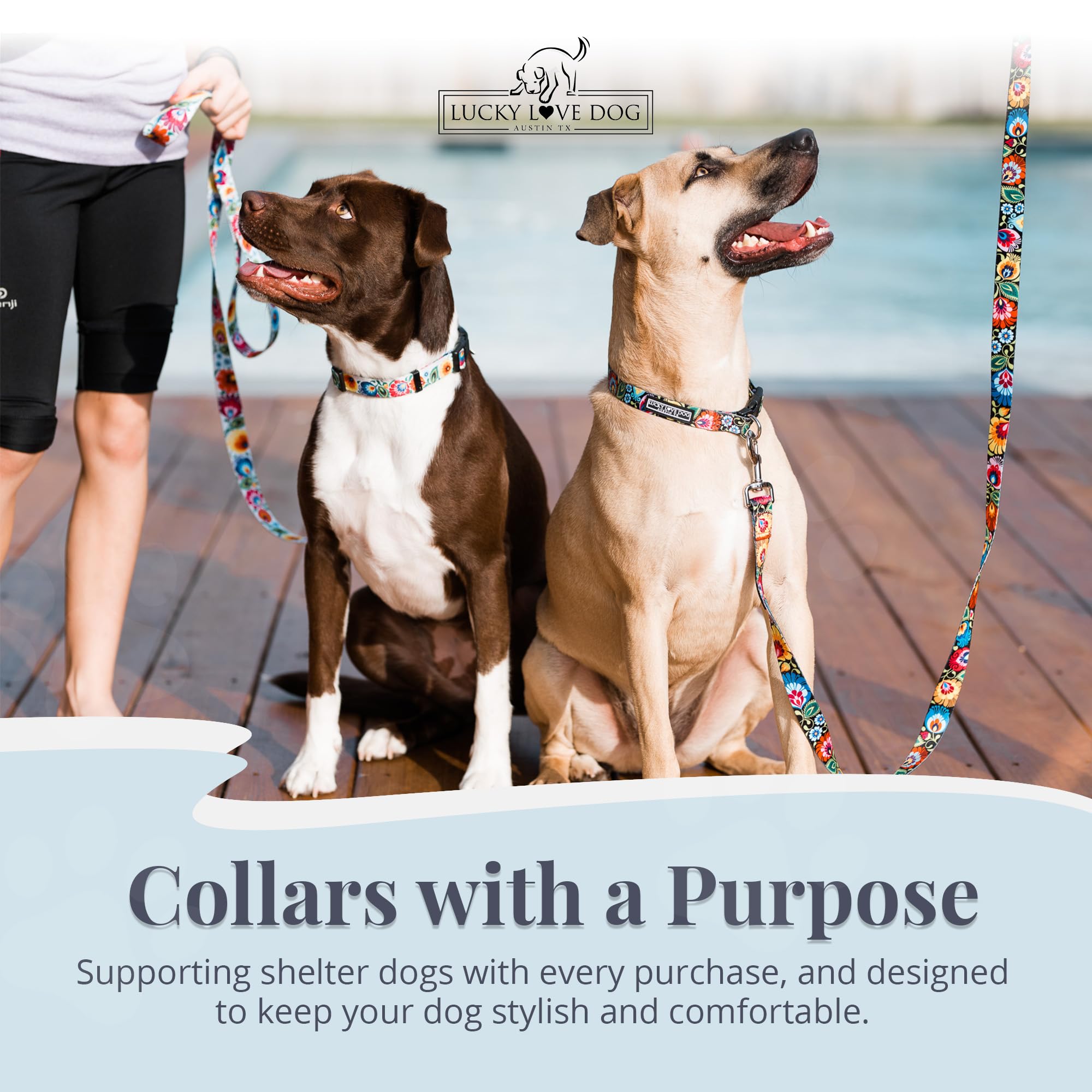 Lucky Love Dog quick-release buckle action during outdoor play and exploration.
