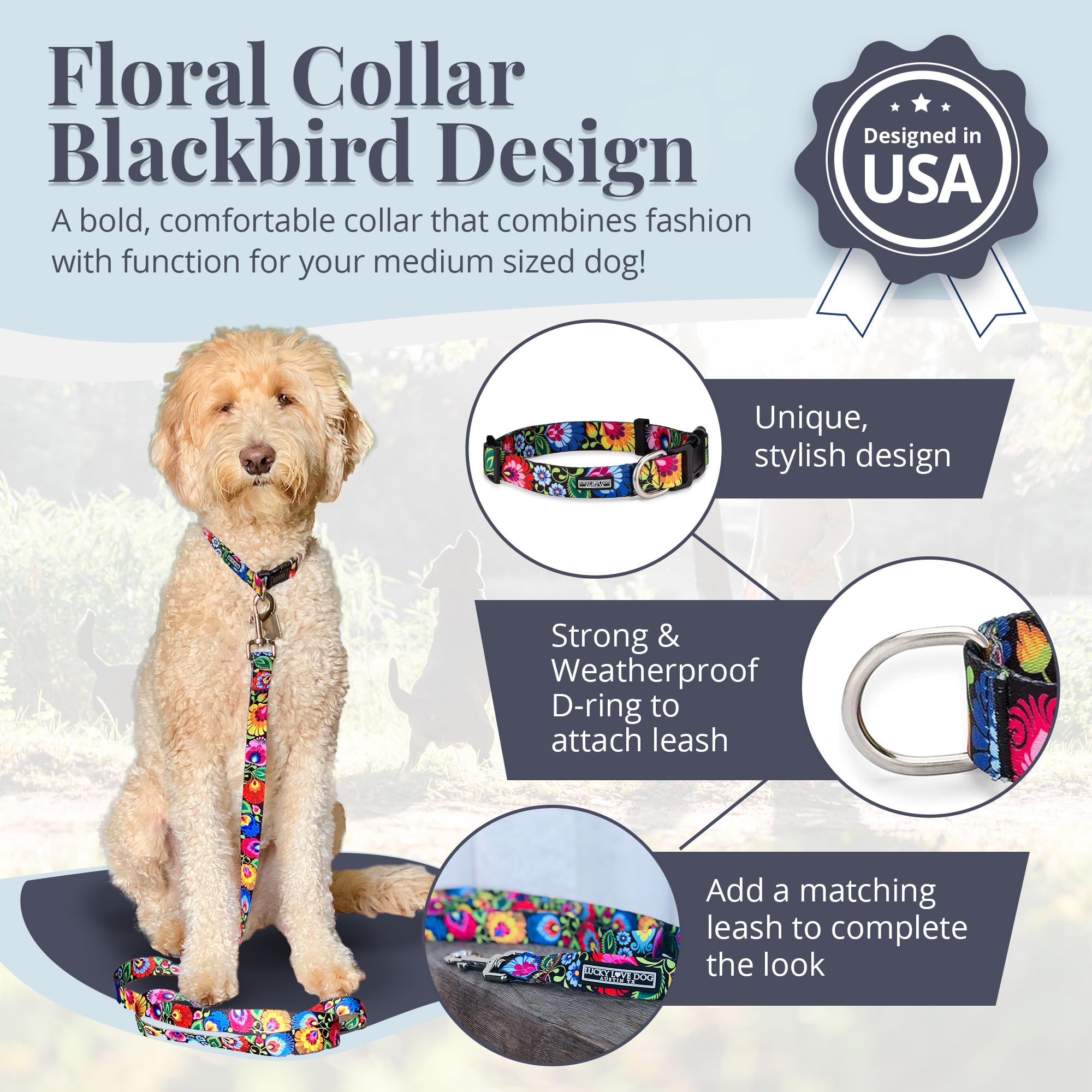 Lucky Love Dog collar worn by a dog during a sunlit walk for comfortable control.