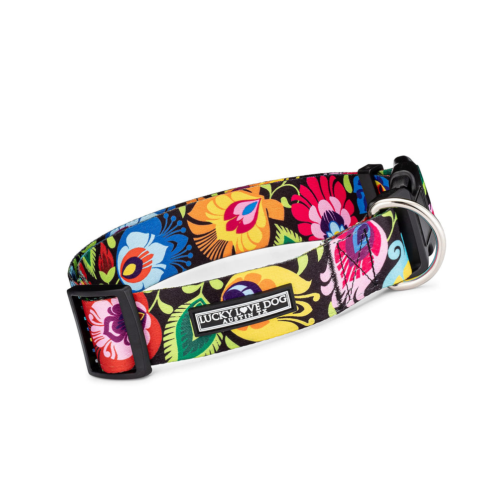 Lucky Love Dog wide collar Blackbird buckle closeup for durable daily wear.