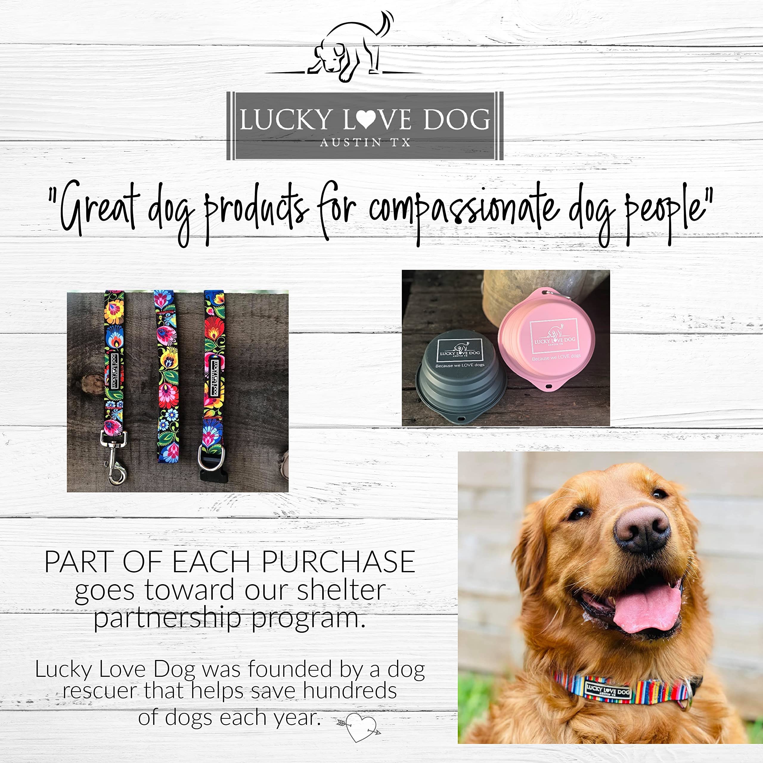 Lucky Love Dog wide collar daily-walk scene shows reliable everyday use.