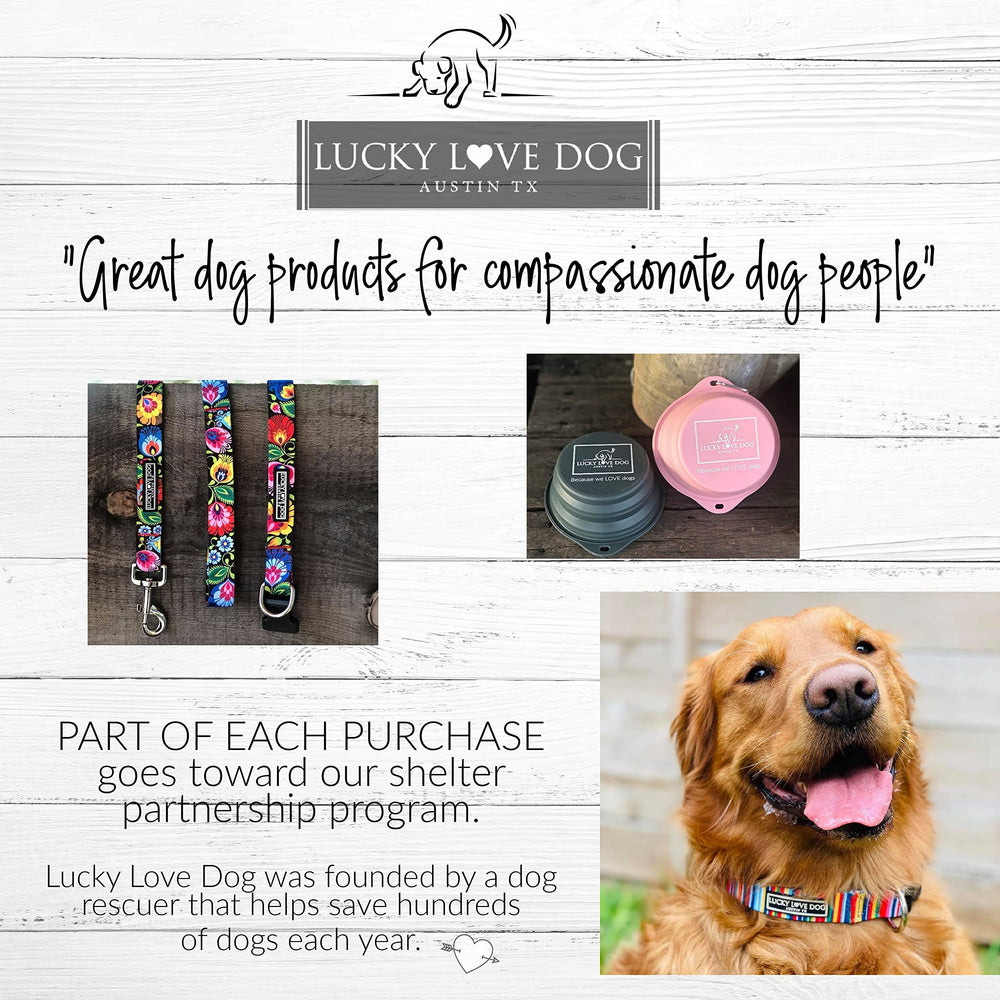 Lucky Love Dog wide collar daily-walk scene shows reliable everyday use.