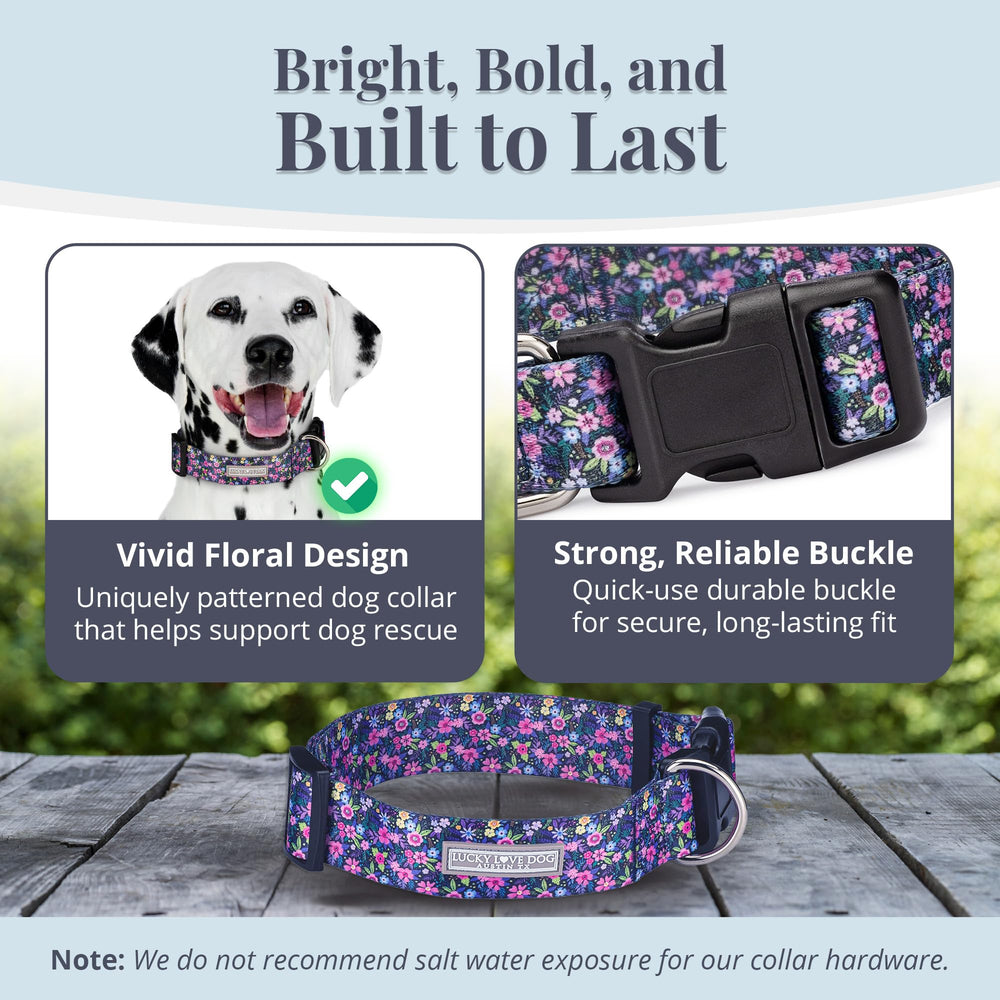 Lucky Love Dog wide collar Primrose adjustable-buckle close-up highlights durable hardware.