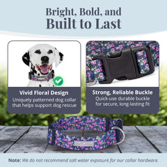 Lucky Love Dog wide collar Primrose adjustable-buckle close-up highlights durable hardware.