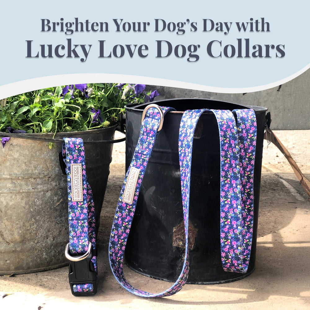 Lucky Love Dog wide collar Primrose packaging highlights rescue-support messaging.