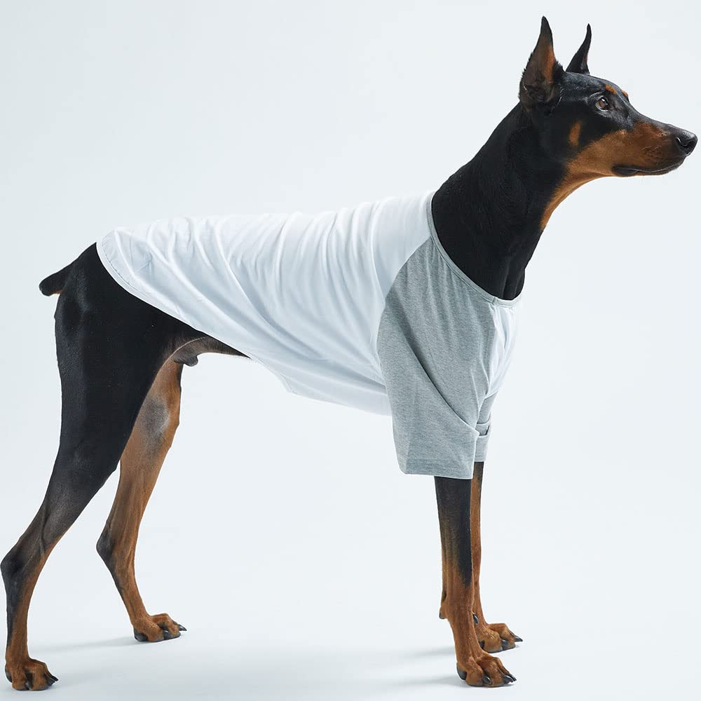 Lucky Petter dog cotton shirt side-fit elastic raglan design for comfortable walks.