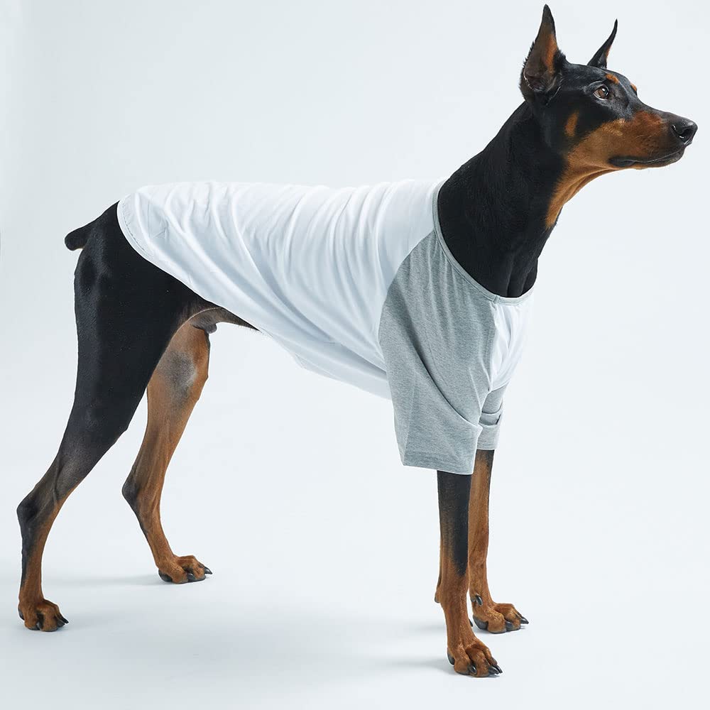 Lucky Petter dog cotton shirt white-gray back view with easy slip-on design.