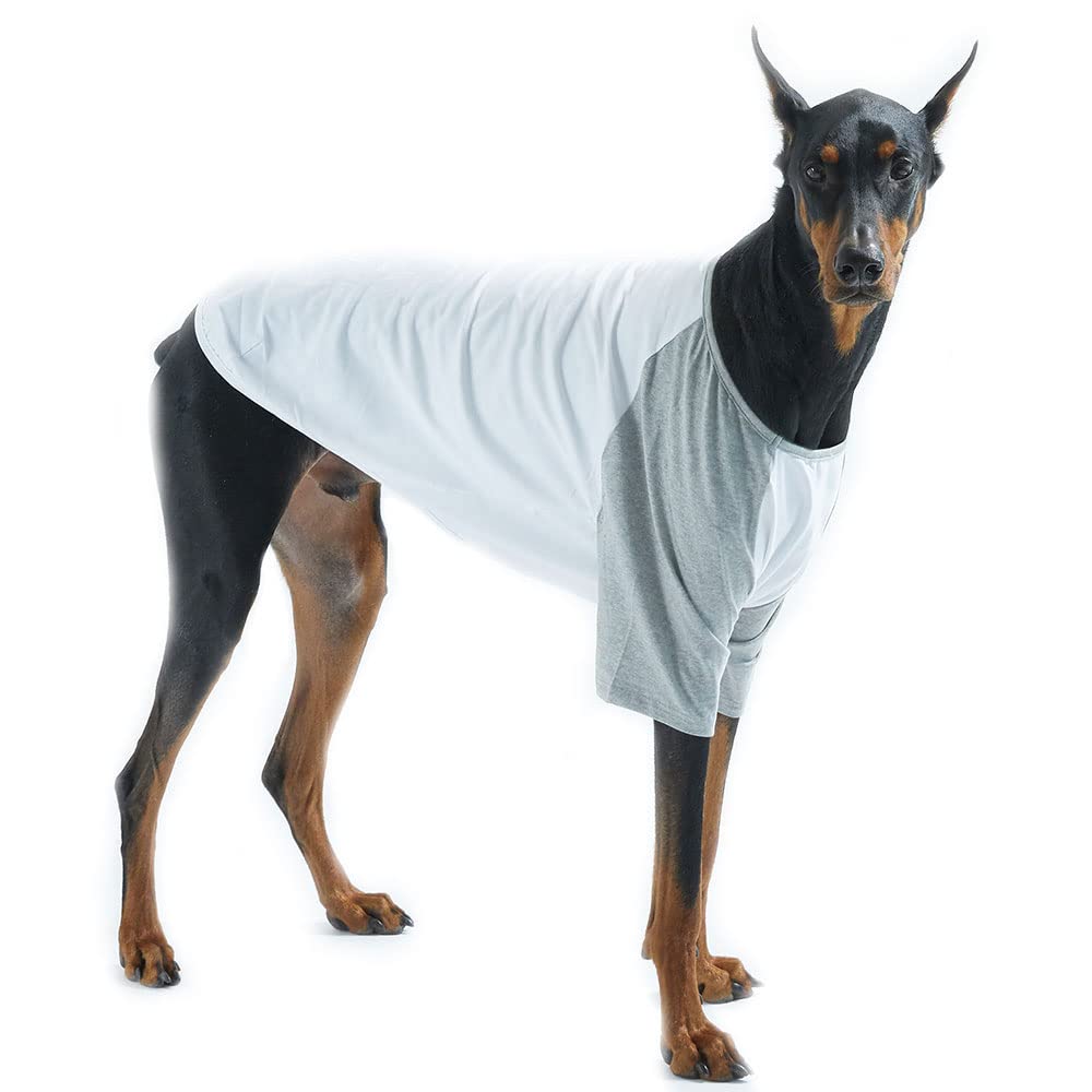 Lucky Petter dog cotton shirt white-gray front view for breathable all-season comfort.