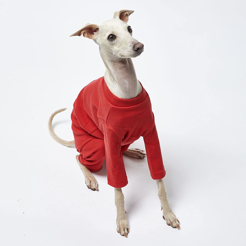 Lucky Petter small dog pajamas back view red—neat basic design with reliable elasticity.