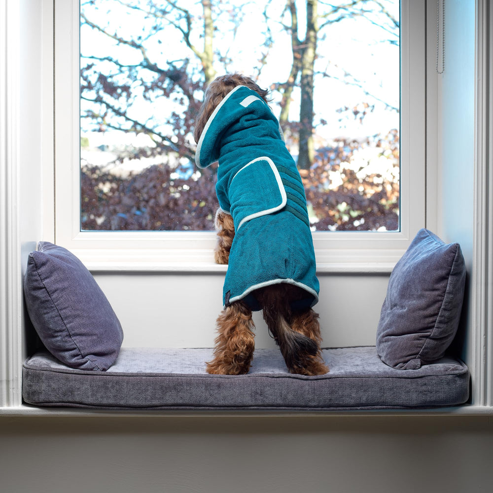 Lucky Pooch dog robe adjustable belly-strap fit for secure, comfortable drying.