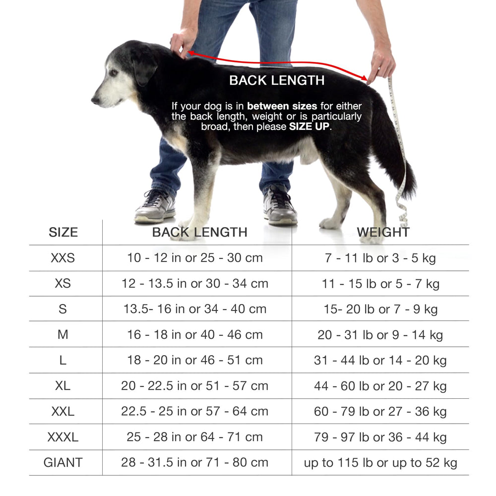 Lucky Pooch dog robe teal color with herringbone trim for stylish functionality.