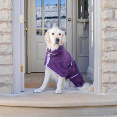 Lucky Pooch durable-fasteners prevent snagging for long-lasting wear