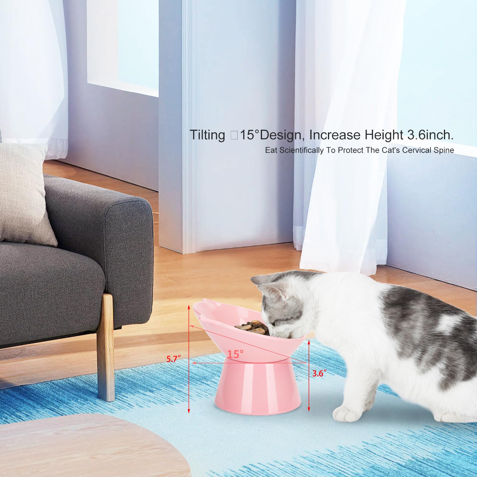 LuckyPots whisker-friendly eating bowl supports comfortable meals.
