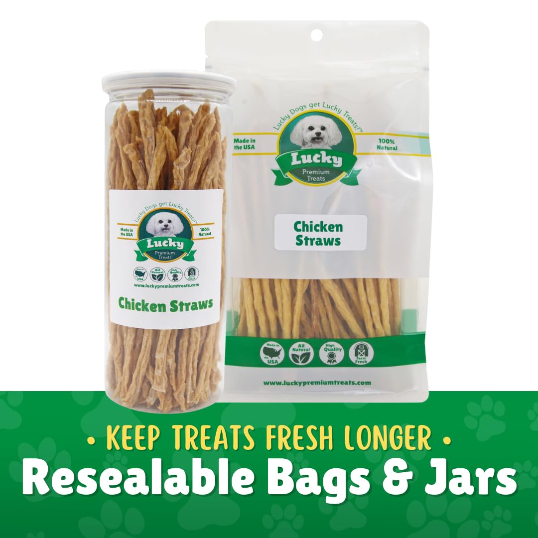 Lucky Premium Treats dog enjoying jerky straws during playtime—engaging chew activity.