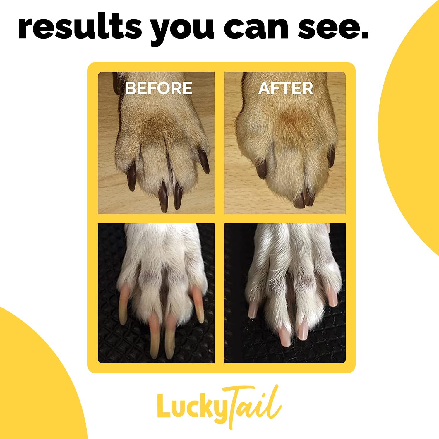 LUCKY TAIL suitable for small and large dogs with adaptable heads