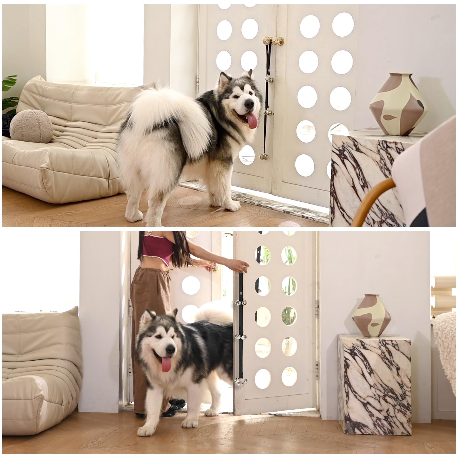 Luckyiren potty-training scene with dog using the door bell