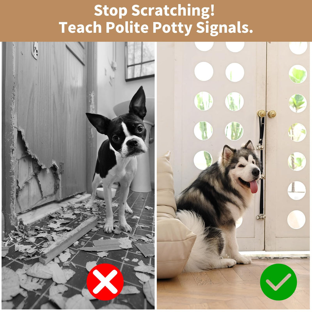 Luckyiren training scene shows go-out cue via bell ring.