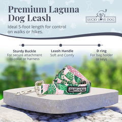 Lucky Love Dog leash built with durable nylon for everyday use