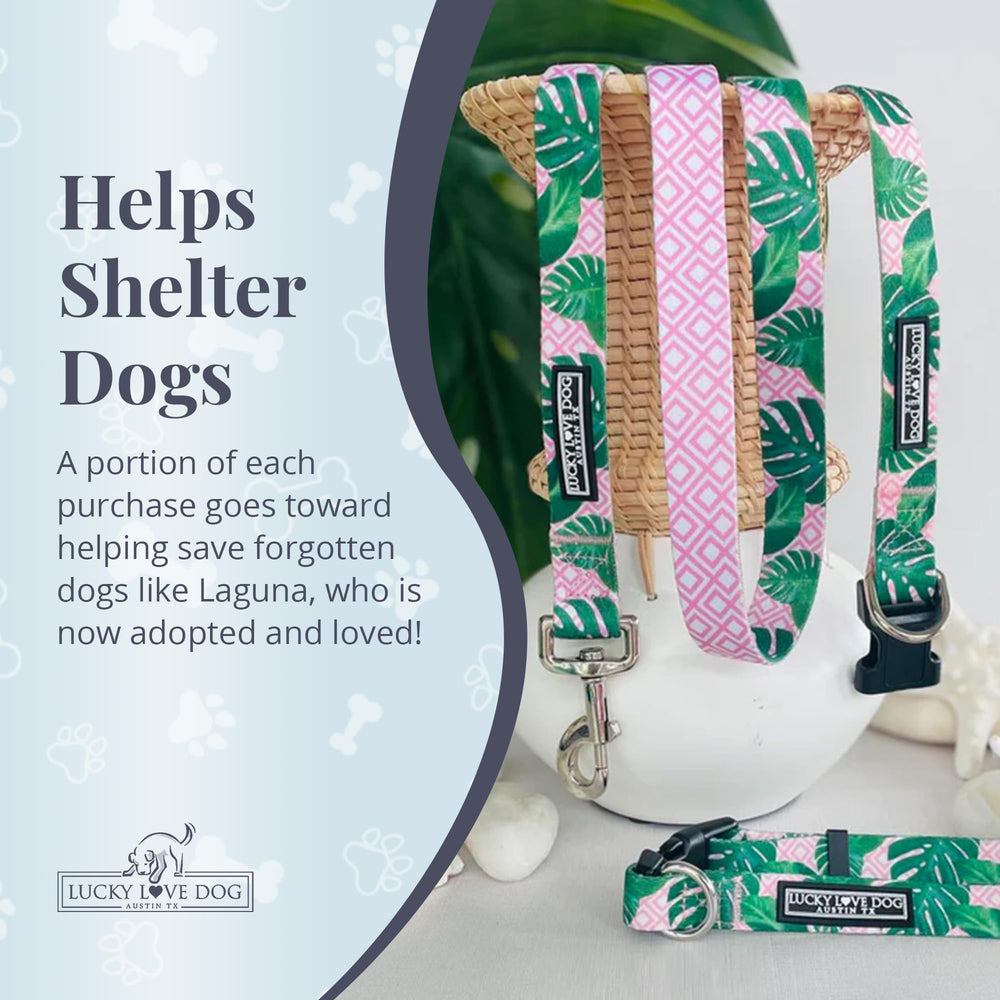 Lucky Love Dog leash uses easy-clean materials for quick maintenance
