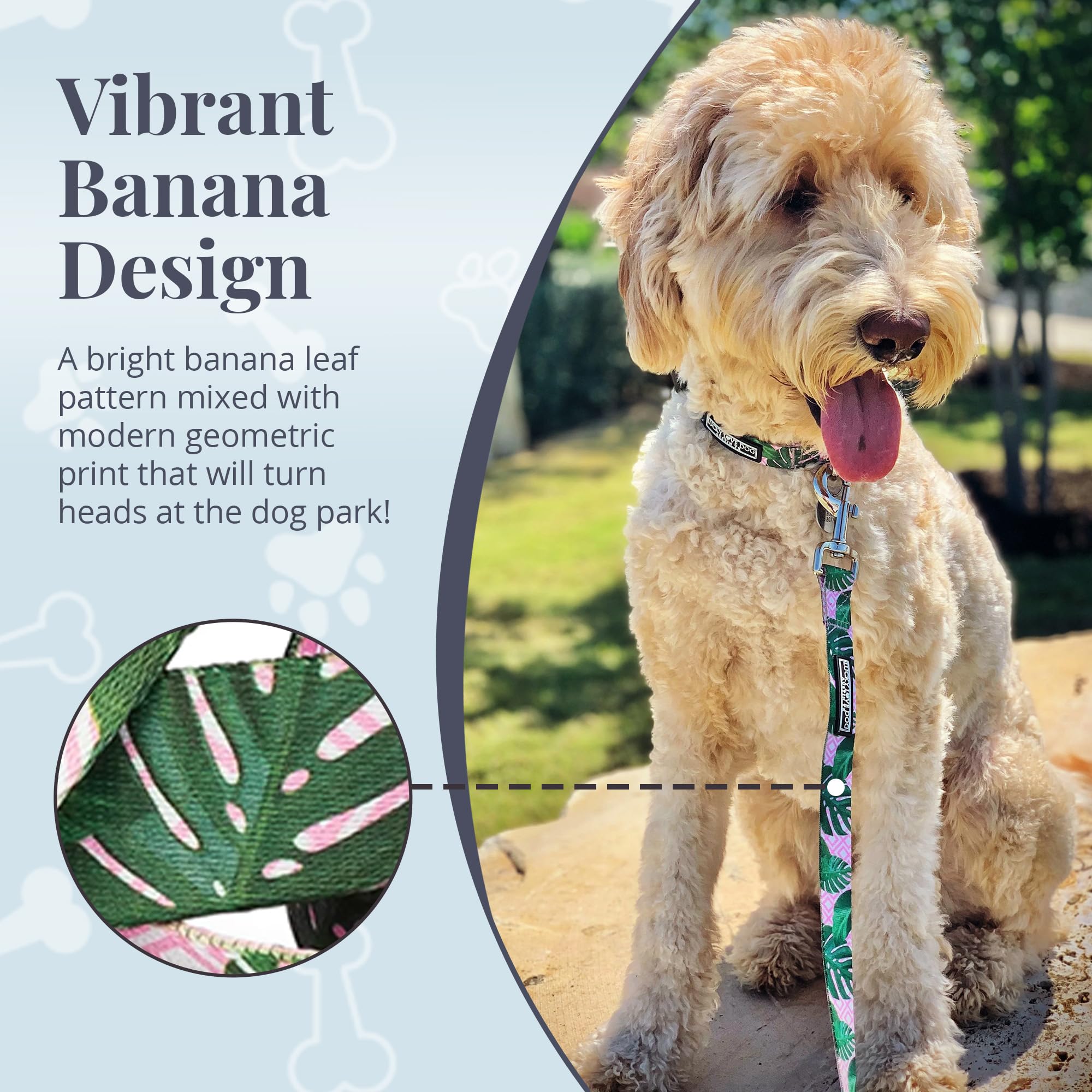Lucky Love Dog Laguna pattern leash adds vibrant style to walks