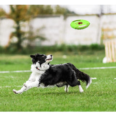 LuckyOpt bright green visibility aids outdoor fetch in grass or water.