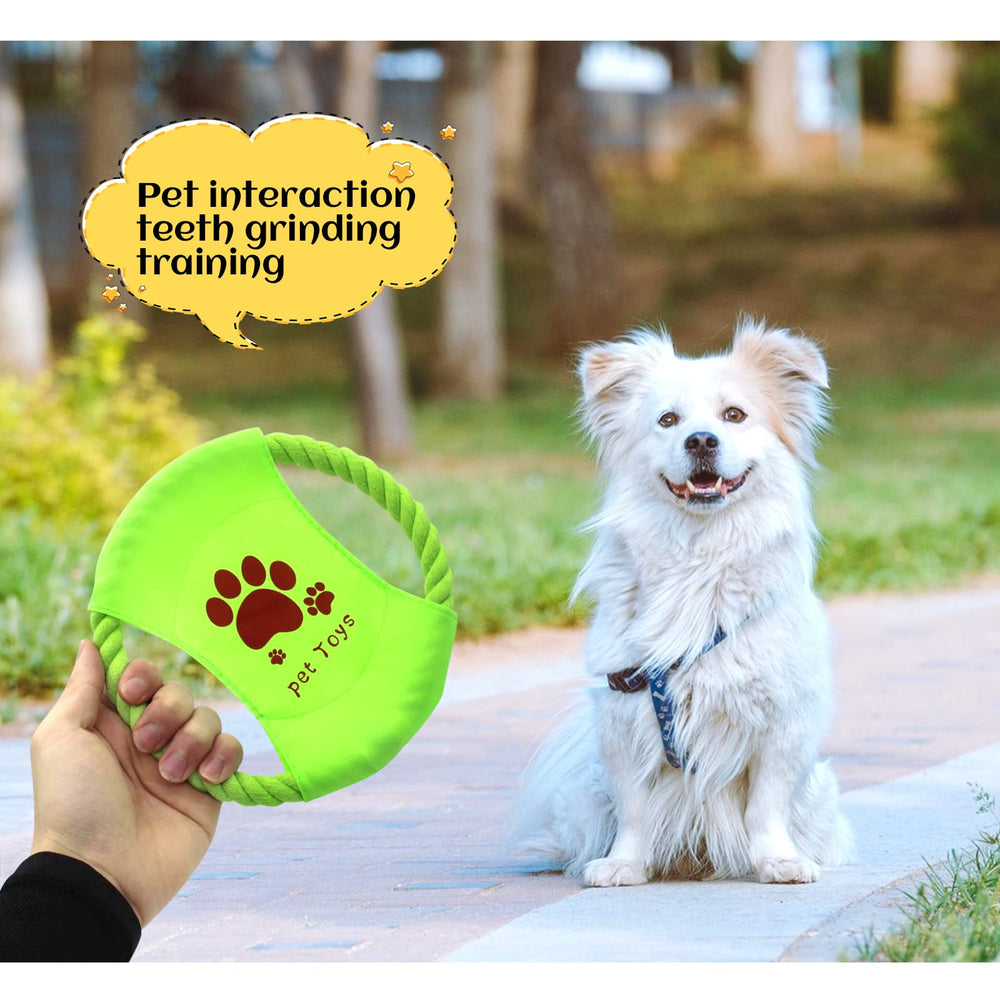 LuckyOpt disc flying-disc play boosts exercise and training opportunities.