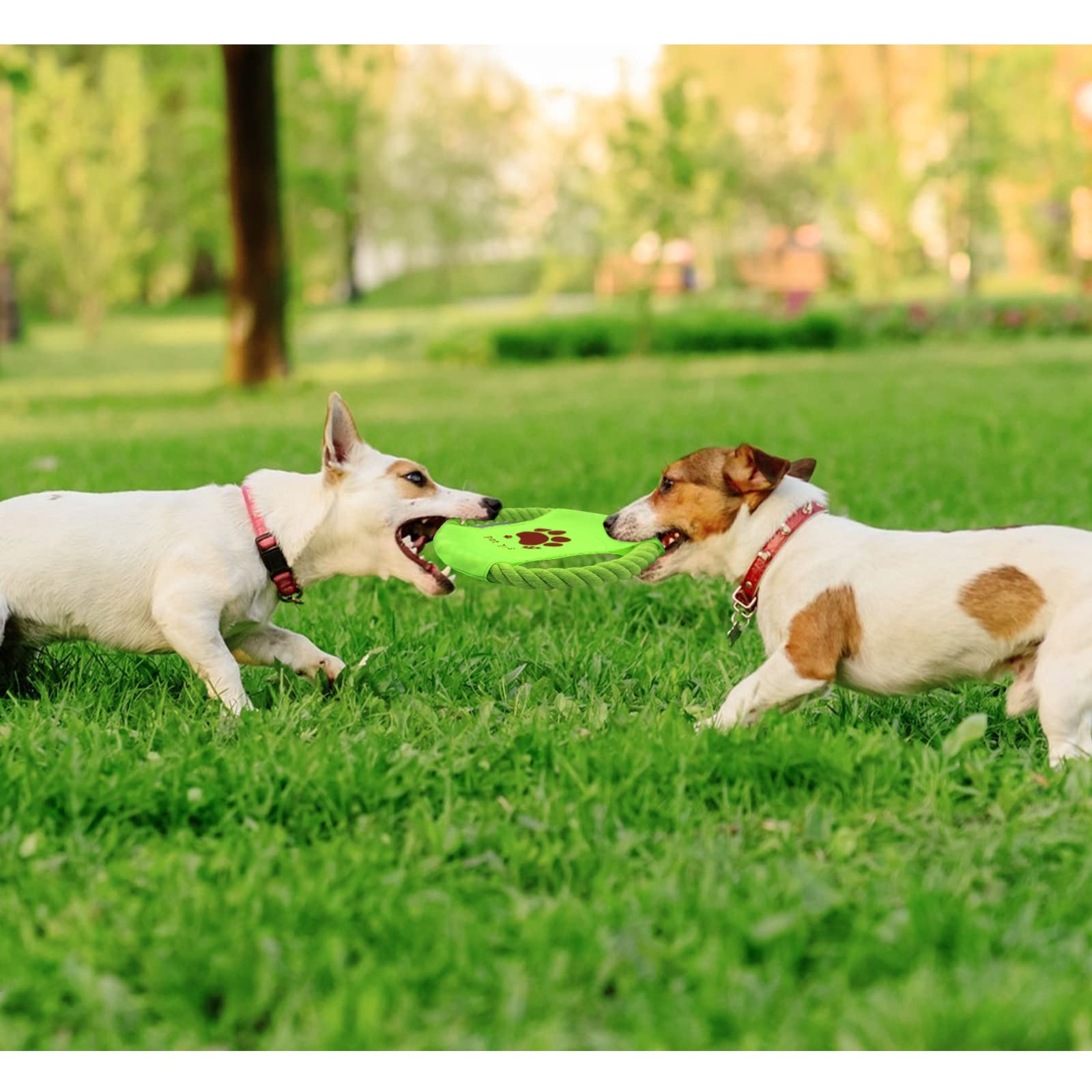 LuckyOpt durable rope-chew toy supports playful chewing and routine exercise.