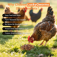 LuckyQworms freeze-dried crickets retain flavor for long-lasting freshness.