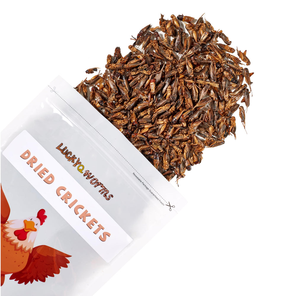 LuckyQworms green-fruit nutrition detail highlights vitamins for reptiles and birds.