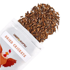 LuckyQworms green-fruit nutrition detail highlights vitamins for reptiles and birds.