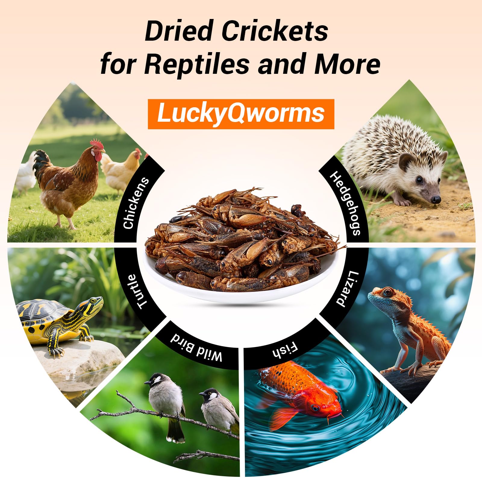 LuckyQworms ready-to-feed bags reduce odor and noise during feeding.