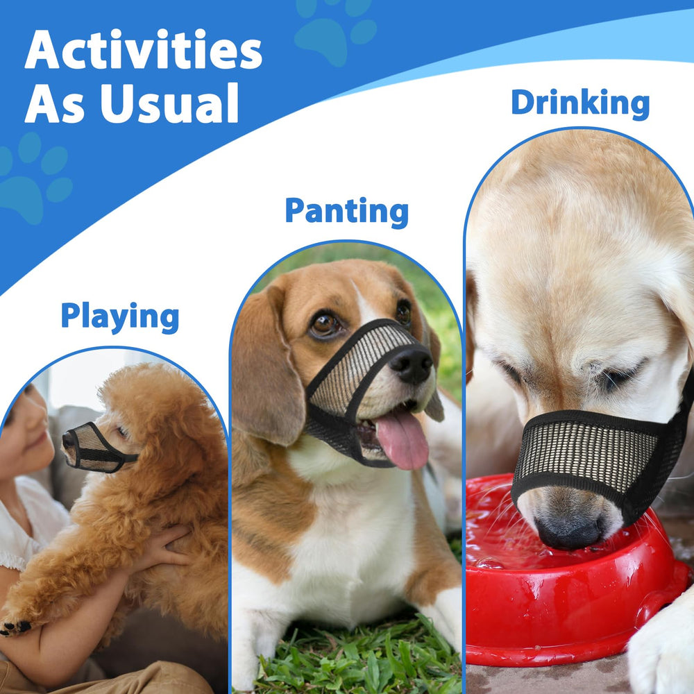 LUCKYPAW drinking-and-panting-friendly design supports daily activities.