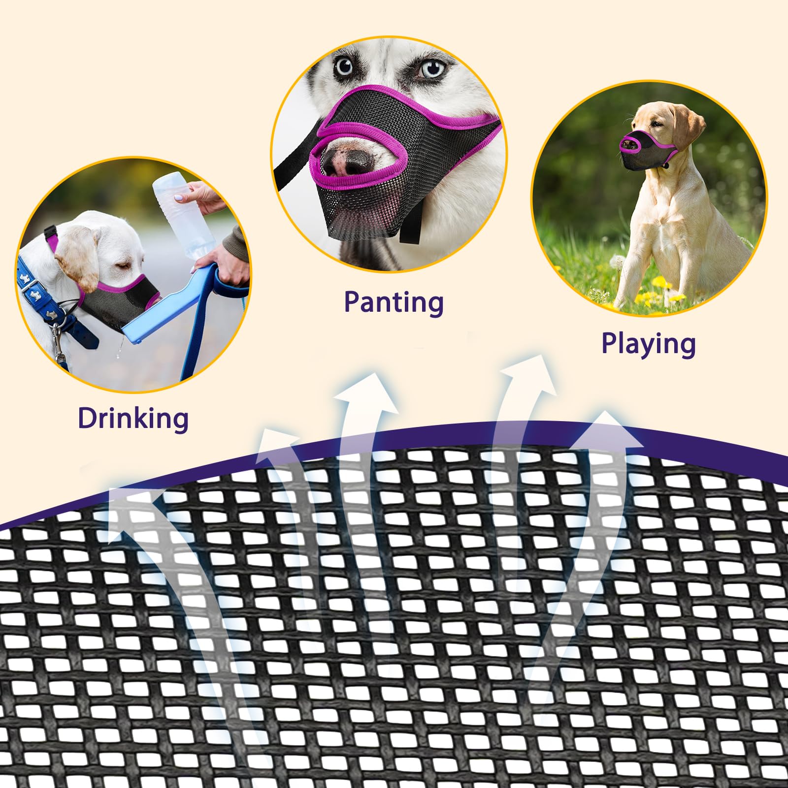 LUCKYPAW training-video guides muzzle acclimation in a calm setup.