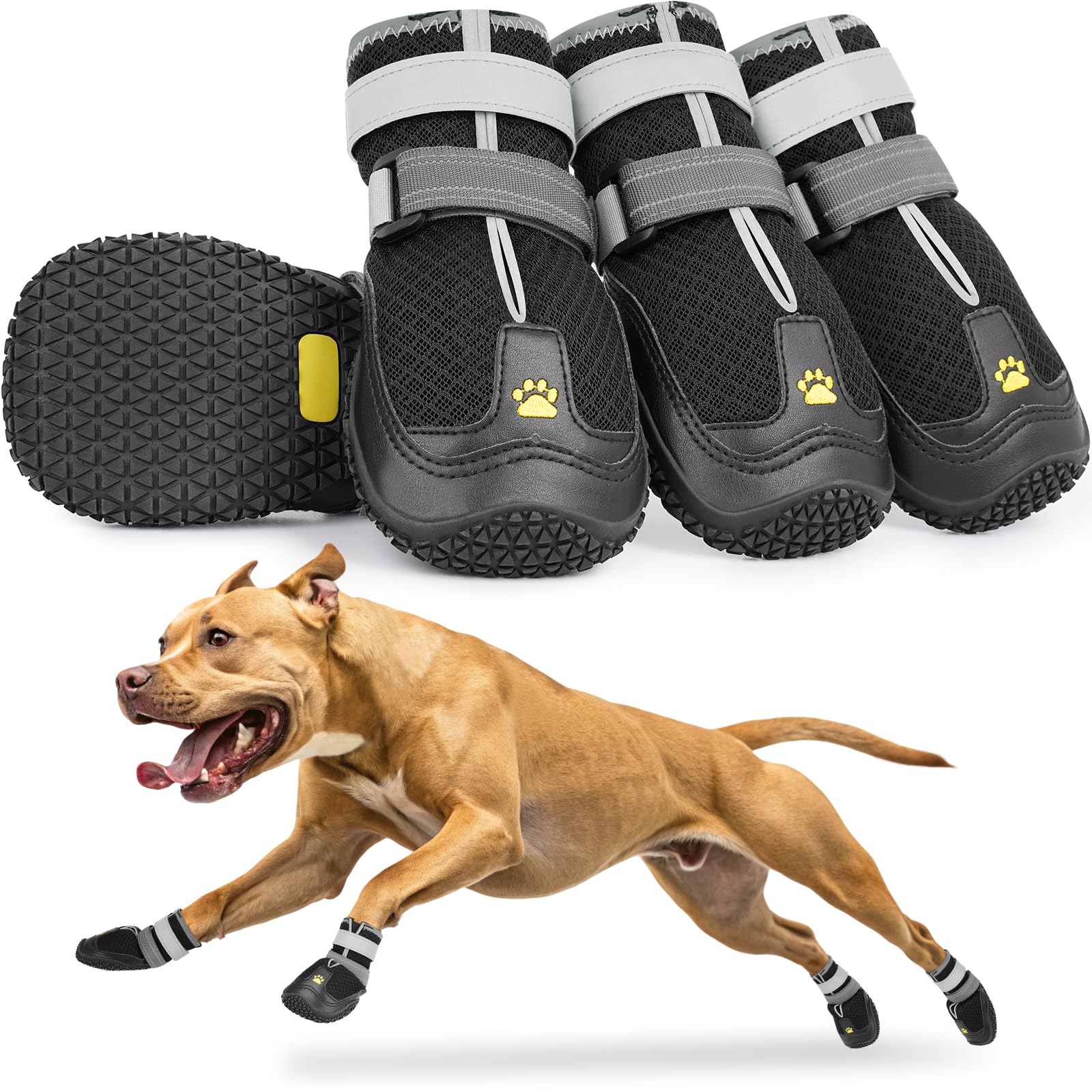LUCKYPAW dog shoes size measure guide demonstrates proper paw fit.